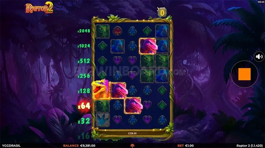 Person playing live casino game